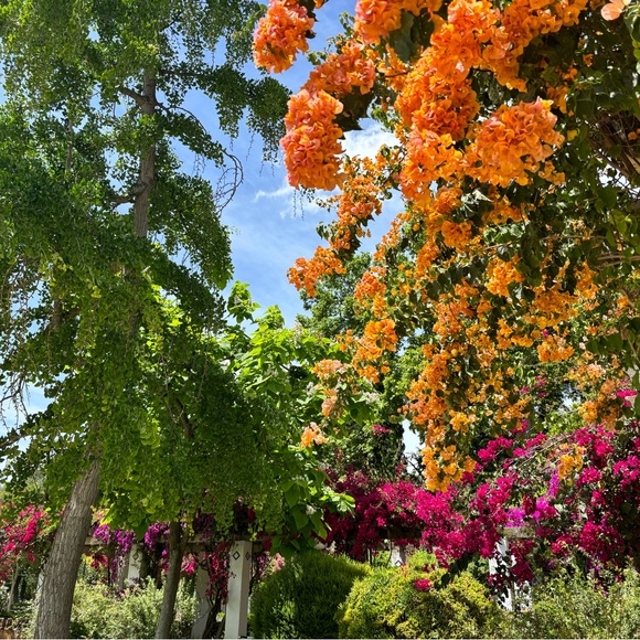 Meet your Posher, Sravya - Picture 1 of 1